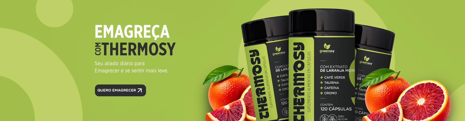 BANNER THERMOSY PRINCIPAL DESKTOP